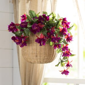 Fuchsia Blossom Floral Arrangement