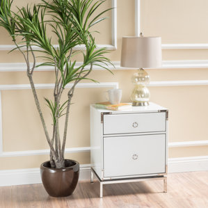Collier 2-Drawer Side Table by Willa Arlo Interiors