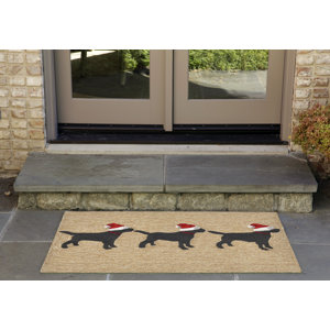 Hand-Tufted Neutral Indoor/Outdoor Area Rug