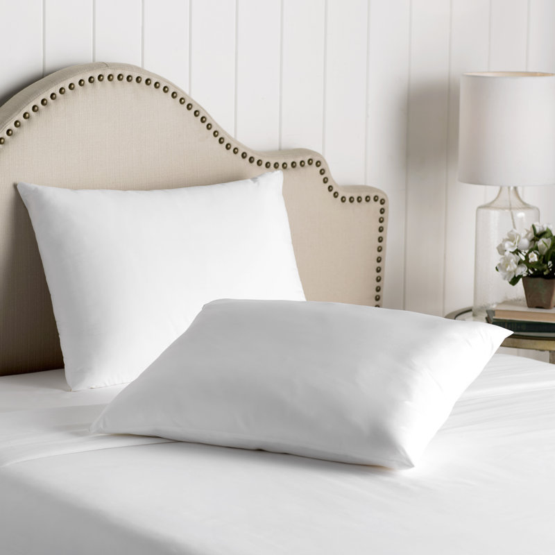 Wayfair Basics Waterproof Allergy and Bed Bug Pillow ...