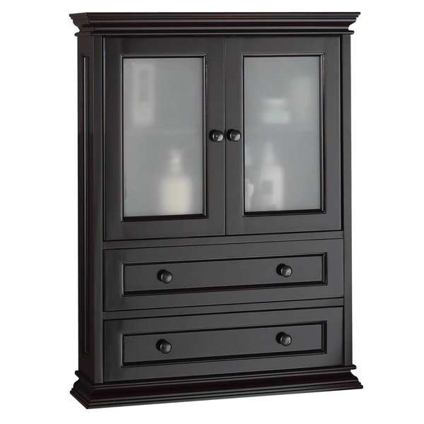Hyde 23.38 W x 31 H Wall Mounted Cabinet by Hazelwood Home