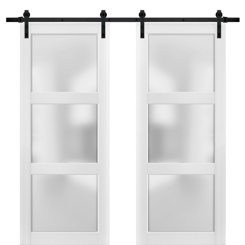 SARTODOORS Lucia Glass Barn Door with Installation Hardware Kit | Wayfair