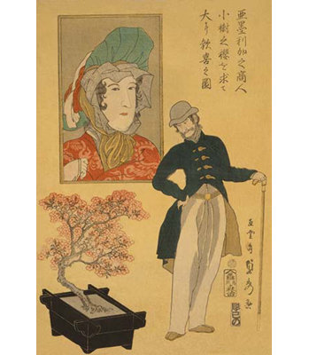 American Merchant Delighted with Miniature Cherry Tree by Sadahide Utagawa Painting Print Buyenlarge