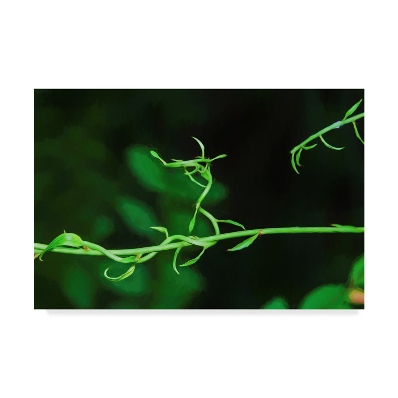 Trademark Art Green Vine Liquid Pencil Drawing Vintage