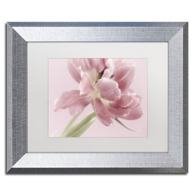'Soft Pink Tulip' Framed Photographic Print on Canvas Ebern Designs Size: 11