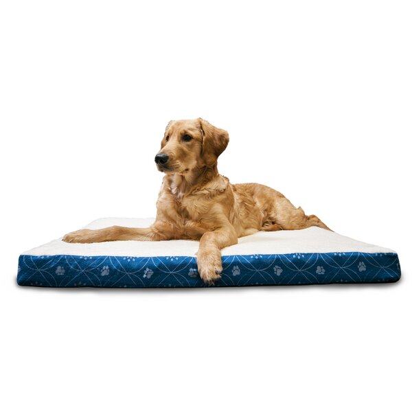 Evan Paw Decor Memory Foam Dog Bed by Archie & Oscar