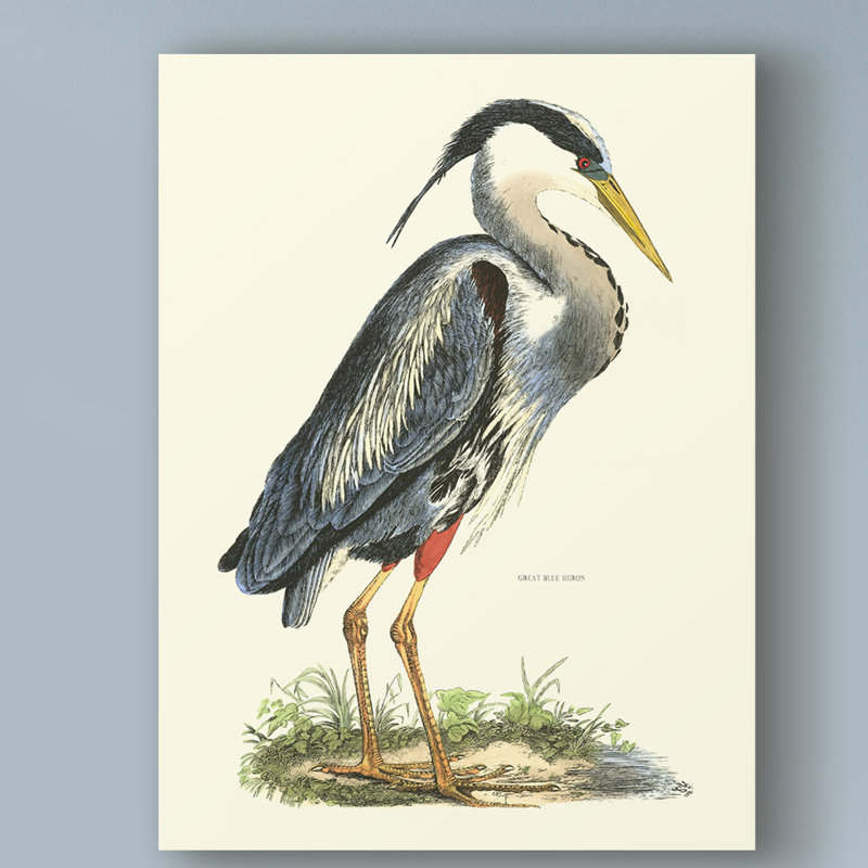 Highland Dunes Custom Great Blue Heron Acrylic Painting Print On