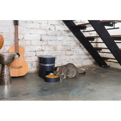 cat automatic feeder