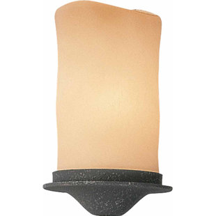 Clip On Sconce Shades Wayfair 4 Gl Novelty Wall Sconce Shade