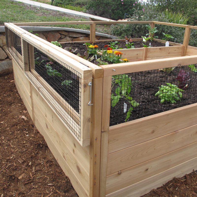 Outdoor Living Today 8 ft x 8 ft Western Red Cedar Raised ...