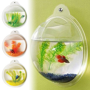 Fish Bubble Deluxe Acrylic Wall Mounted Aquarium Tank