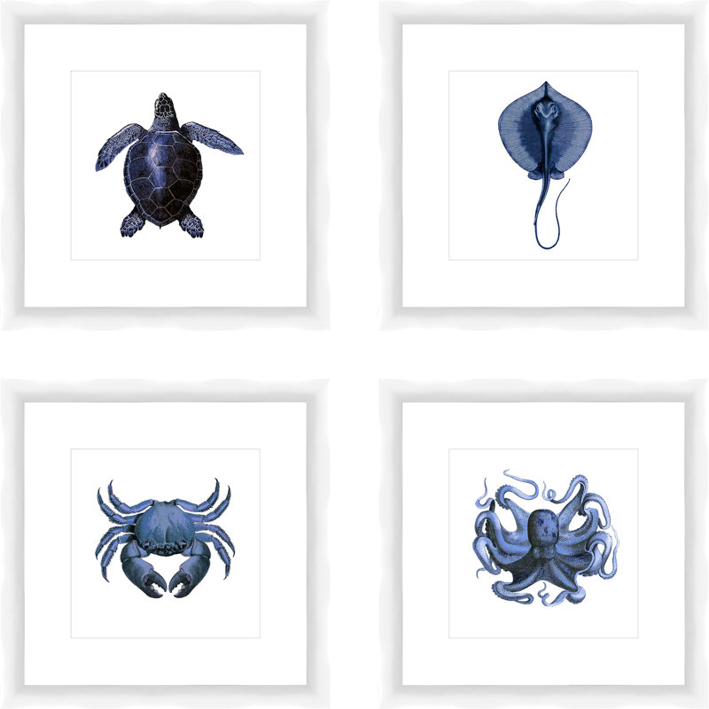 Highland Dunes Sea Creatures By Ptm Images 4 Piece Picture Frame Graphic Art Print Set On Paper Reviews Wayfair