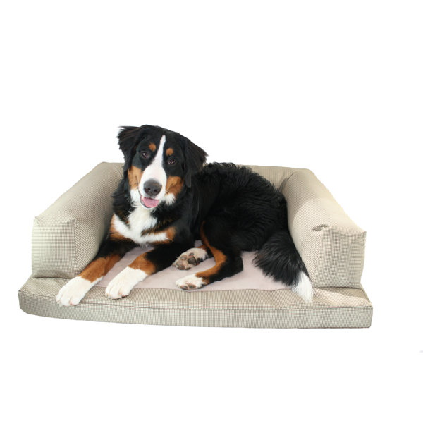 Frankie Baxter Couch Bolster Dog Bed by Tucker Murphy Pet