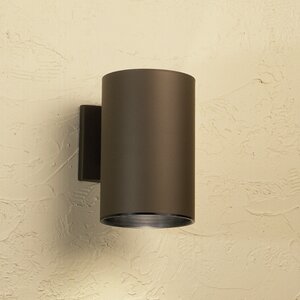 Suri 1-Light Outdoor Sconce