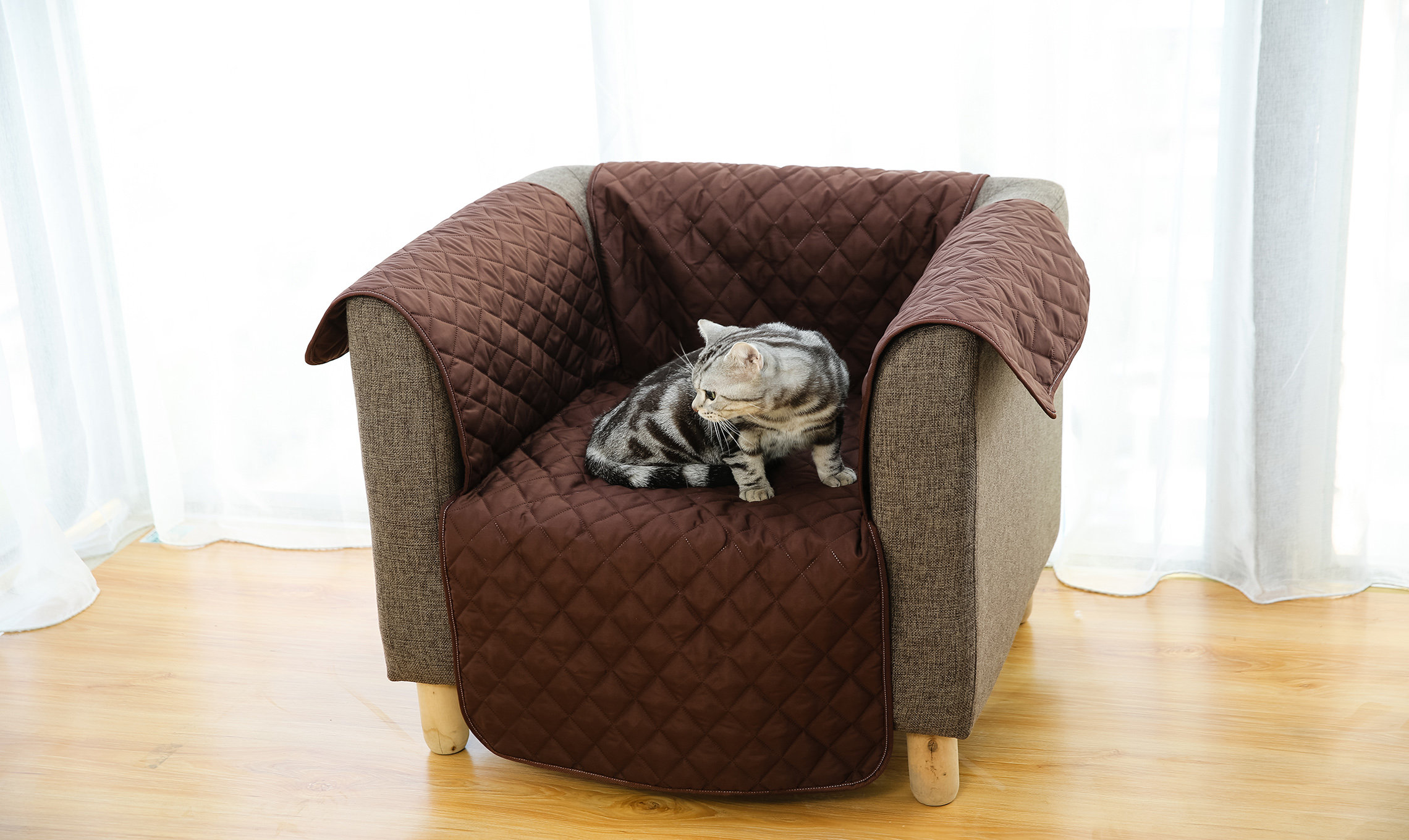Tucker Murphy Pet Pet Cover Seats Box Cushion Sofa Slipcover Wayfair