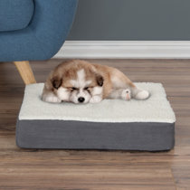memory foam dog bed insert
