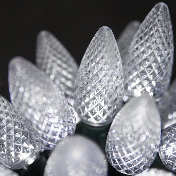 25 Light C9 LED Christmas Lights by The Holiday Aisle