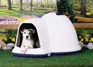 igloo dog house large