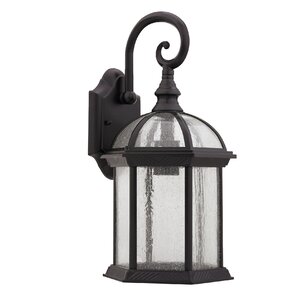 Havana Divine 1-Light Outdoor Wall Lantern