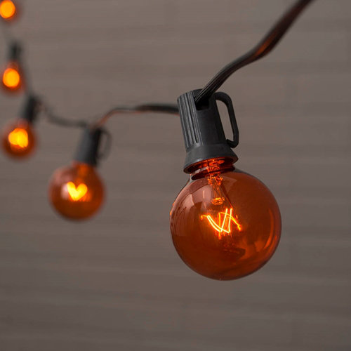 10 Light Transparent Globe Set by Penn Distributing