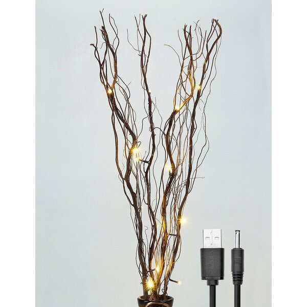LED 16 Light Natural Willow Branches by Lightshare