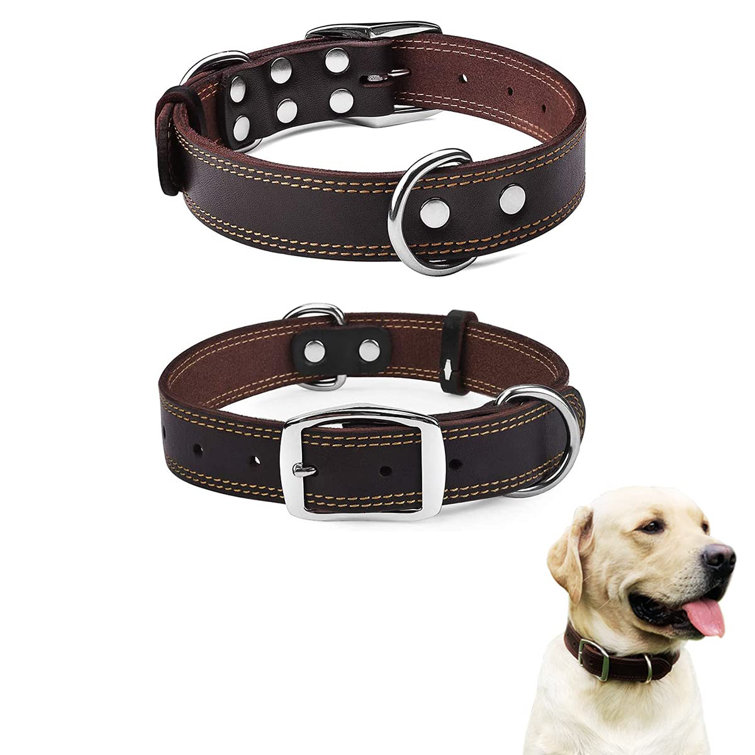 wide large dog collars