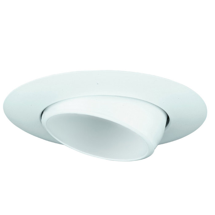 Raptor Lighting Complete Remodel Enclosed Insulated Ceiling