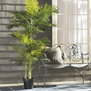 Artificial Trees You Ll Love Wayfair Brookings Floor Palm In Pot By Beachcrest Home