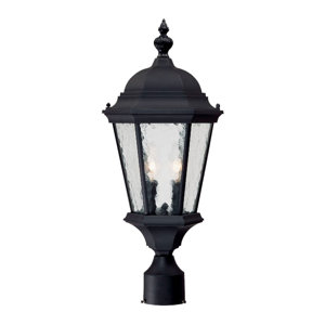 Telfair Outdoor 2-Light Lantern Head