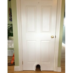 Cat Door with a Brush