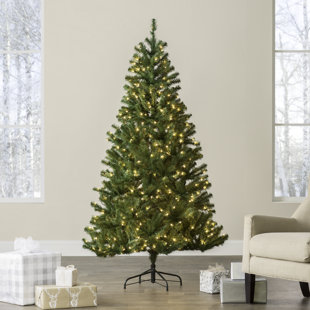 Pre Lit Christmas Trees You Ll Love Wayfair Green Spruce Artificial Christmas Tree With Clear White Lights
