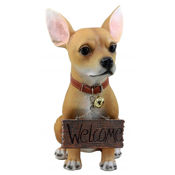 feisty pets chihuahua