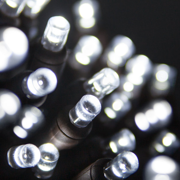 50 LED Christmas Light String by Wintergreen Lighting