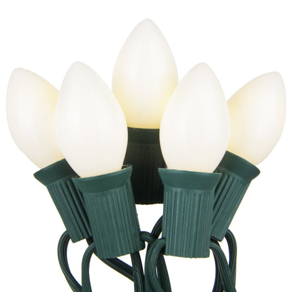 Opaque C7 String Lighting by The Holiday Aisle
