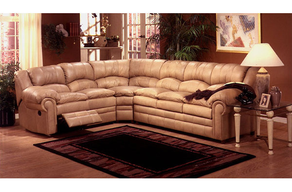 Riviera Reclining Sectional Sleeper By Omnia Leather Great price