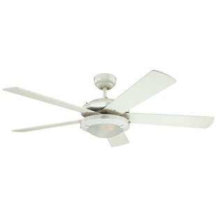 Modern Pull Chain Ceiling Fans Allmodern