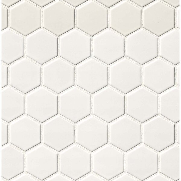 Hexagon 2 x 2 Porcelain Mosaic Tile in Matte White by MSI