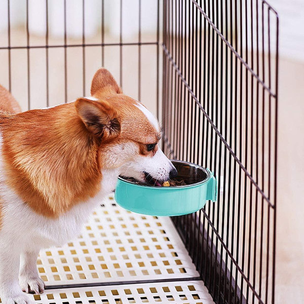 Huanan19862021 Petworld Paragon Detachable 2in1 Dog Crate Water Bowl No Spill Removable Hanging On Dog Food Bowls Stainless Steel Pet Feeder Suitable For Dog Cat Rabbit Bird Round Blue Wayfair