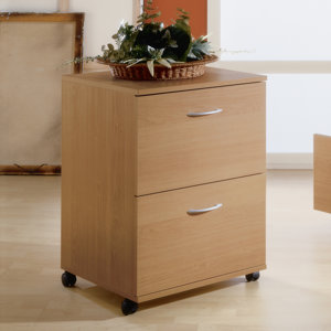 2 Drawer Mobile Filing Cabinet