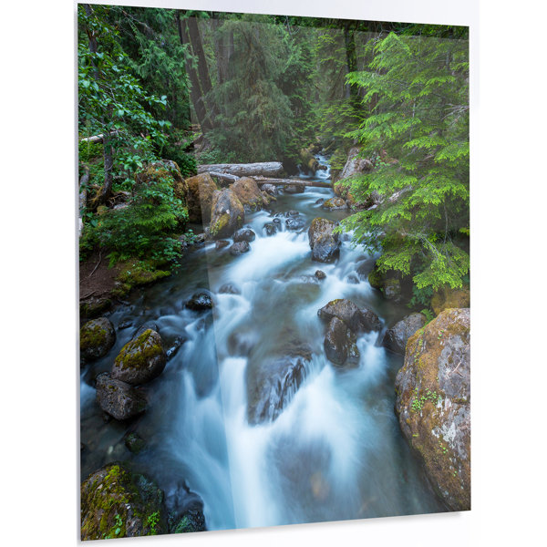 Designart Rushing Water In Forest Creek Photographic Print On Metal Wayfair