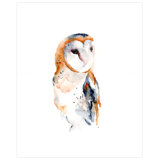 Colorful Owl Painting Wayfair