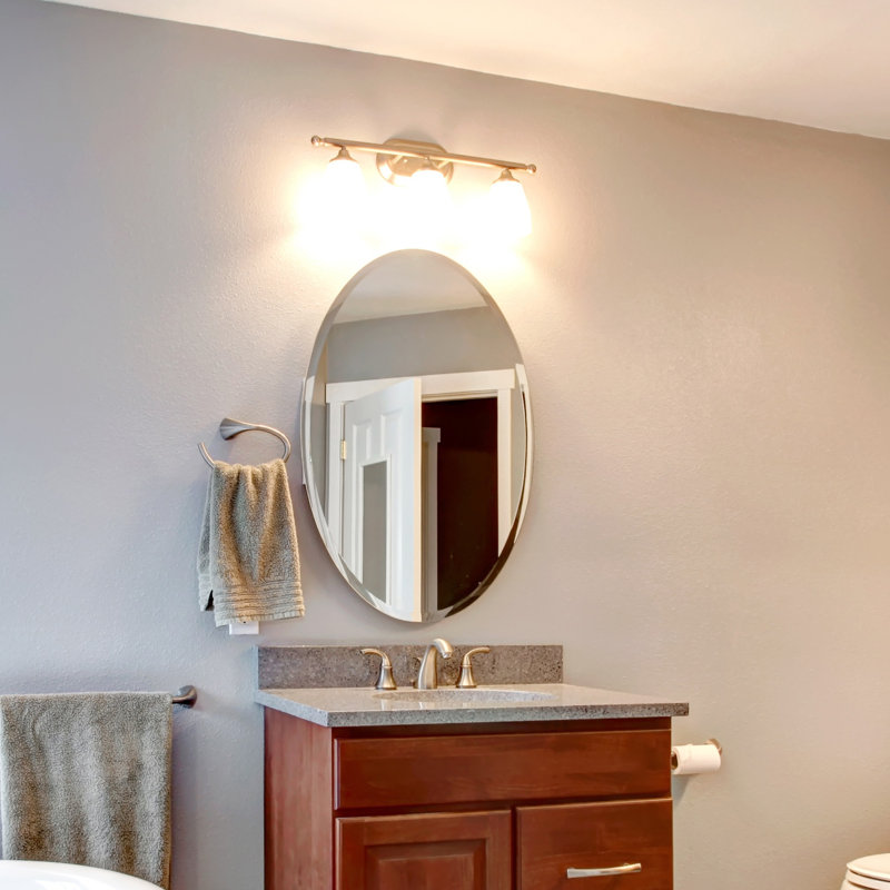 House Of Hampton Gilman Oval Beveled Polish Frameless Wall Mirror With Hooks Wayfair