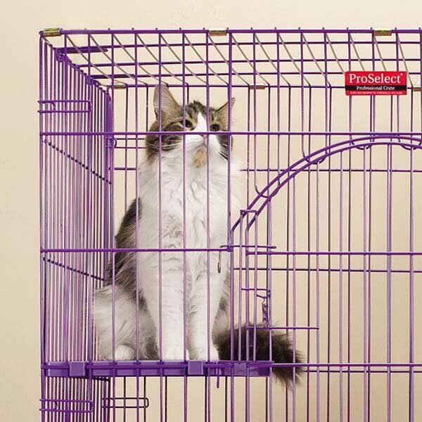 proselect foldable cat cage