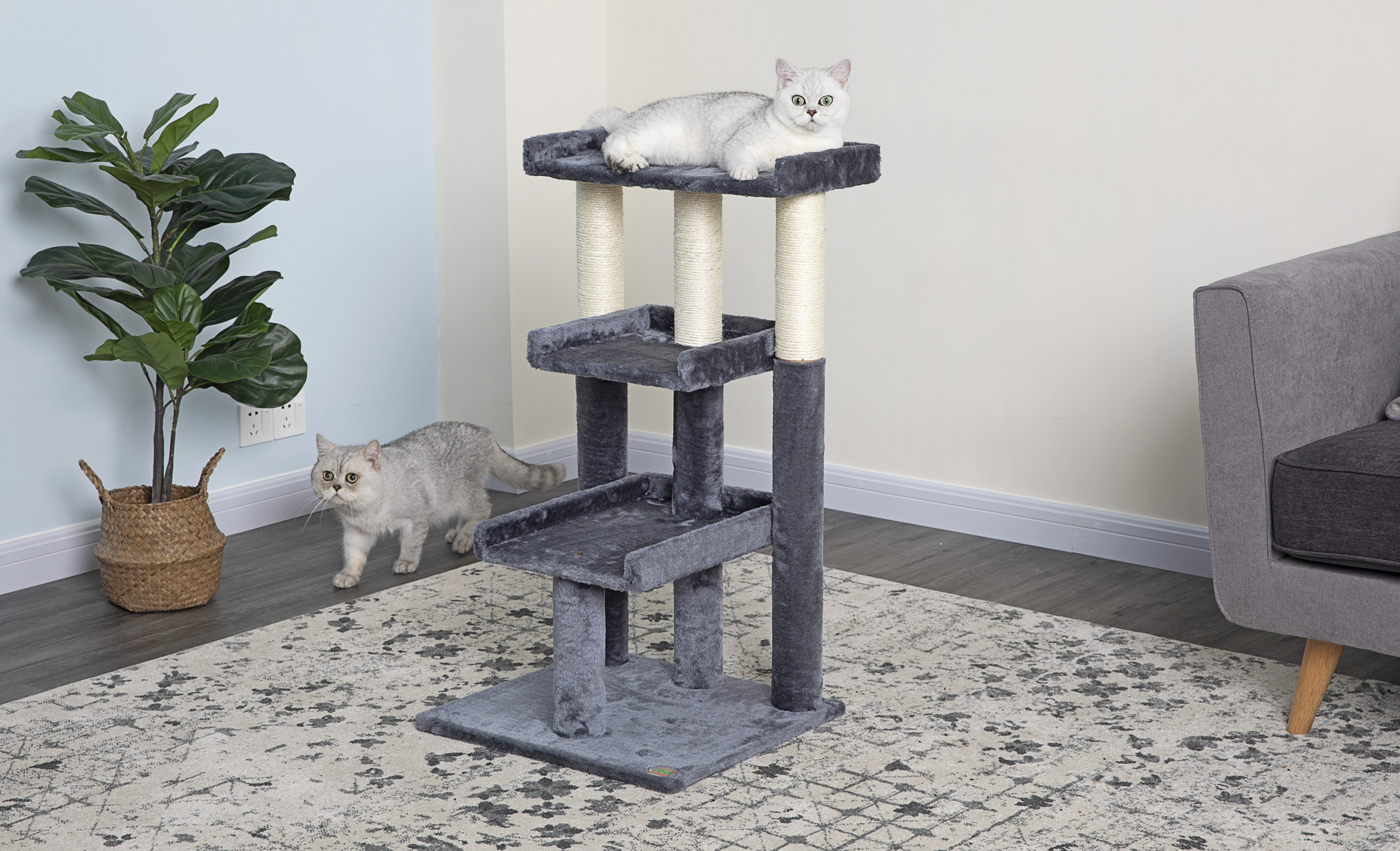 Big Sale Top Rated Cat Trees Youll Love In 2020 Wayfair