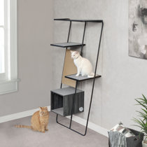 cat tree with ladder