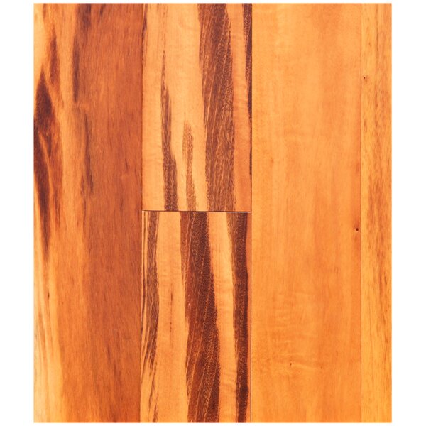 5 Solid Brazilian Tigerwood Hardwood Flooring in Natural by Easoon USA