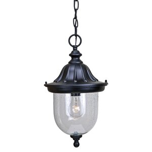 Ledbetter 1-Light Outdoor Hanging Lantern