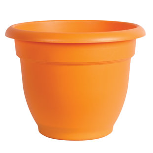 Planter Flower Pots You Ll Love Wayfair Quickview