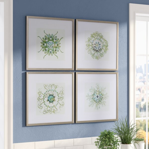 Organic Symbols 4 Piece Framed Graphic Art Set by Darby Home Co