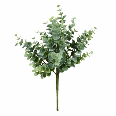 Solley Jade Leaf Bush Gracie Oaks Flower Color: Green